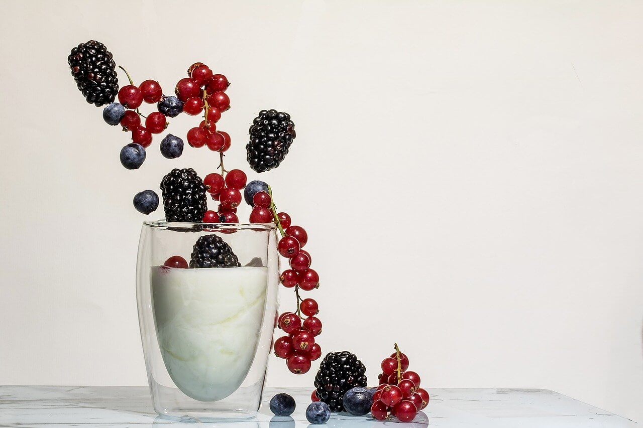 Fat content of kefir
